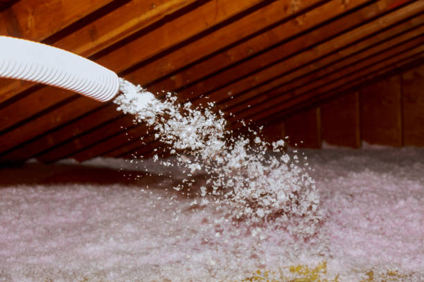 Best Commercial Insulation in Norman Park, GA