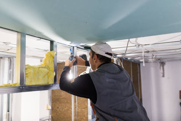 Best Specialized Insulation Services in Norman Park, GA