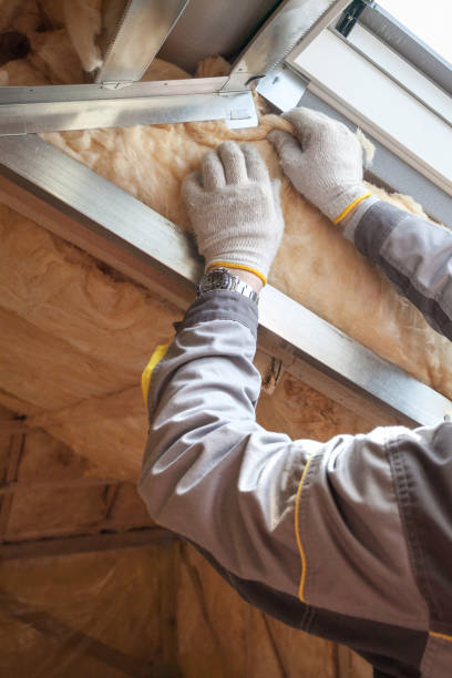 Best Spray Foam Insulation in Norman Park, GA